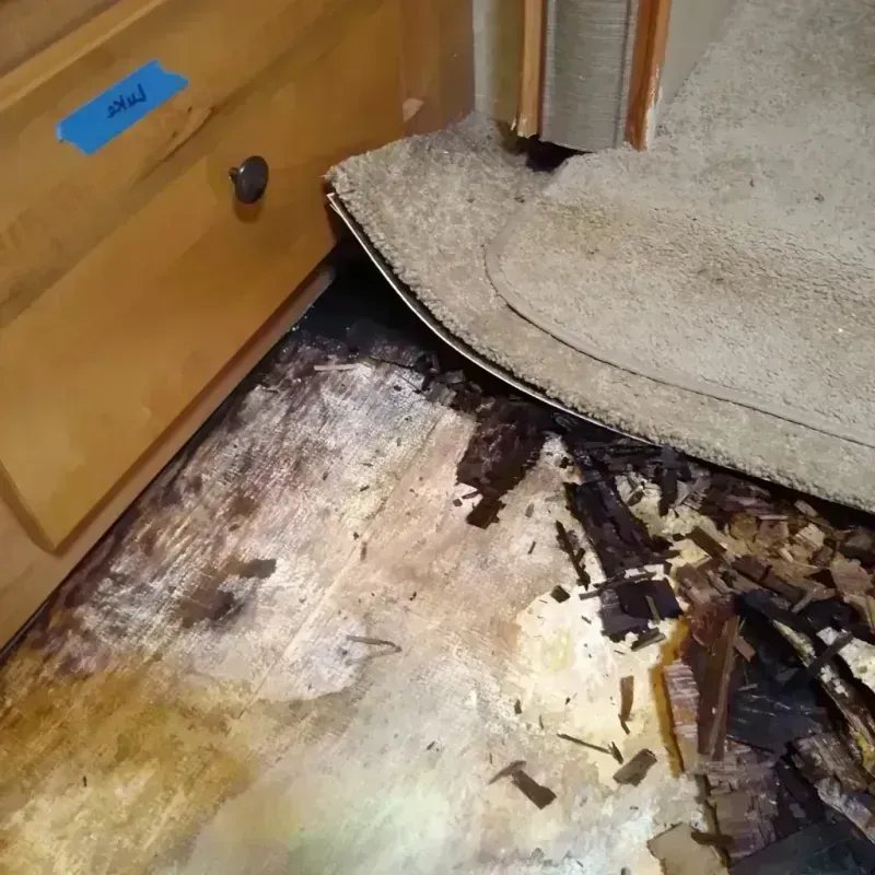 Wood Floor Water Damage in Springdale, NJ